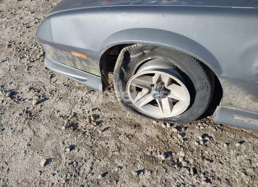 Photo 11 of 1991 Chevrolet Camaro RS (VIN 1G1FP23E8ML183475)