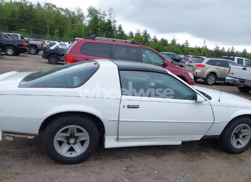 Photo 13 of 1991 Chevrolet Camaro RS (VIN 1G1FP23T3ML196214)