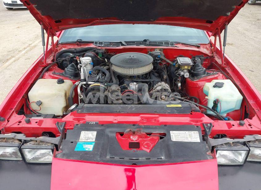 Photo 10 of 1989 Chevrolet Camaro (VIN 1G1FP31E8KL181862)