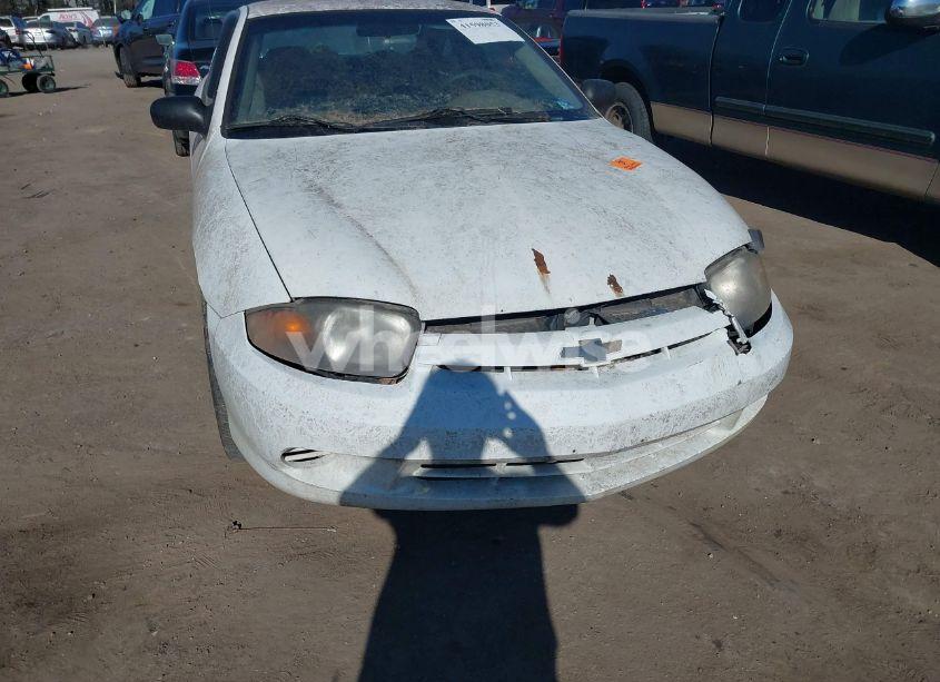 Photo 6 of 2005 Chevrolet Cavalier (VIN 1G1JC14F957199072)