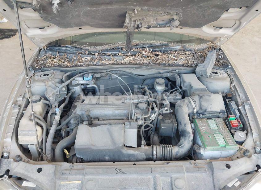 Photo 10 of 2005 Chevrolet Cavalier (VIN 1G1JC52F557102928)