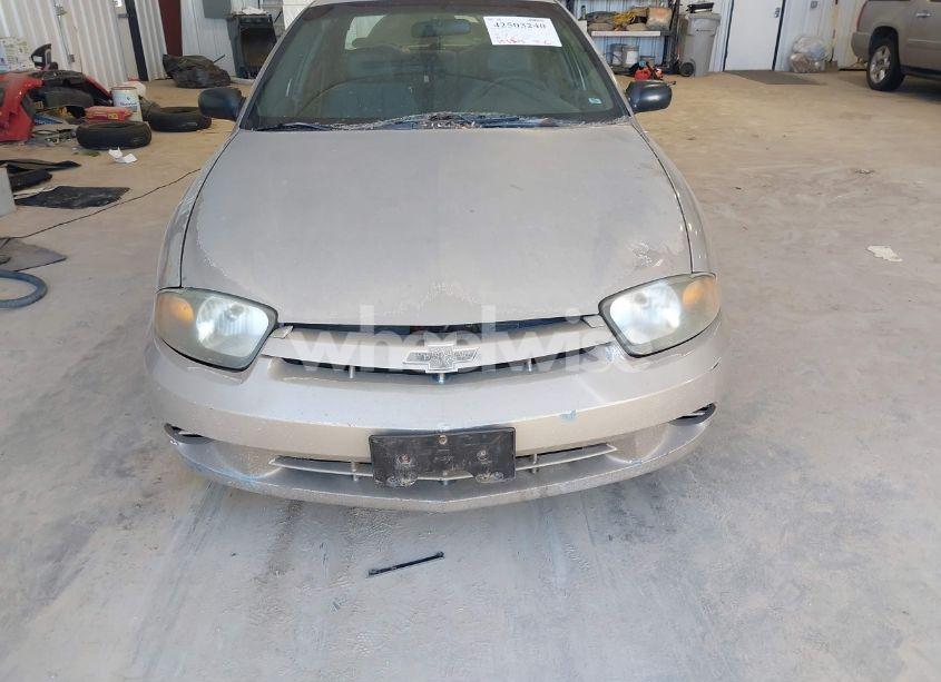 Photo 6 of 2005 Chevrolet Cavalier (VIN 1G1JC52F557102928)