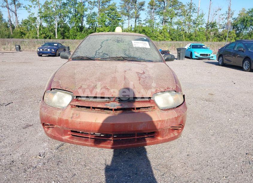 Photo 6 of 2005 Chevrolet Cavalier (VIN 1G1JC52F857196108)