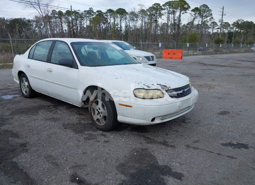2004 Chevrolet Classic (VIN 1G1ND52F44M581762) main photo