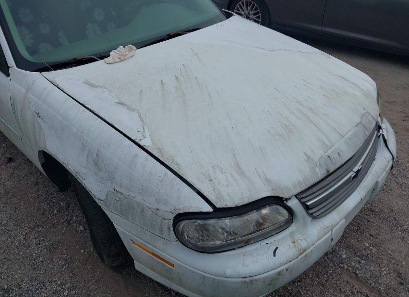 Photo 6 of 2004 Chevrolet Classic (VIN 1G1ND52F64M543983)