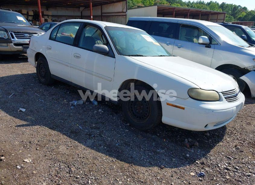 2002 Chevrolet Malibu (VIN 1G1ND52J72M595270) main photo