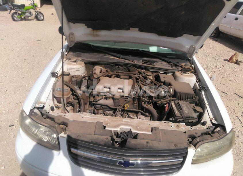 Photo 10 of 2000 Chevrolet Malibu (VIN 1G1ND52J7Y6304344)