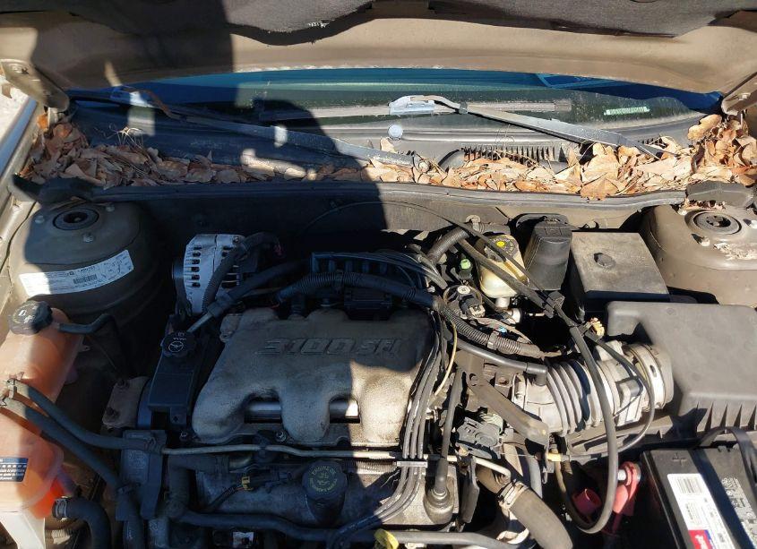 Photo 10 of 2002 Chevrolet Malibu (VIN 1G1ND52J92M551089)