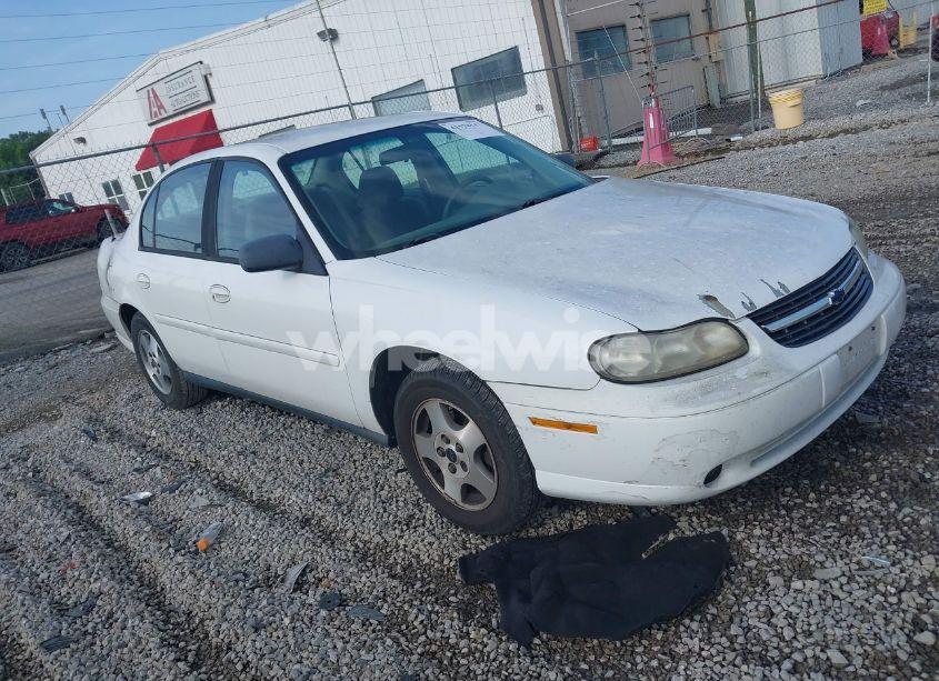 2003 Chevrolet Malibu (VIN 1G1ND52J93M636662) main photo