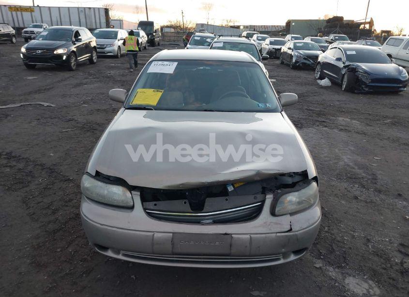 Photo 12 of 1999 Chevrolet Malibu N/A (VIN 1G1ND52J9X6113443)