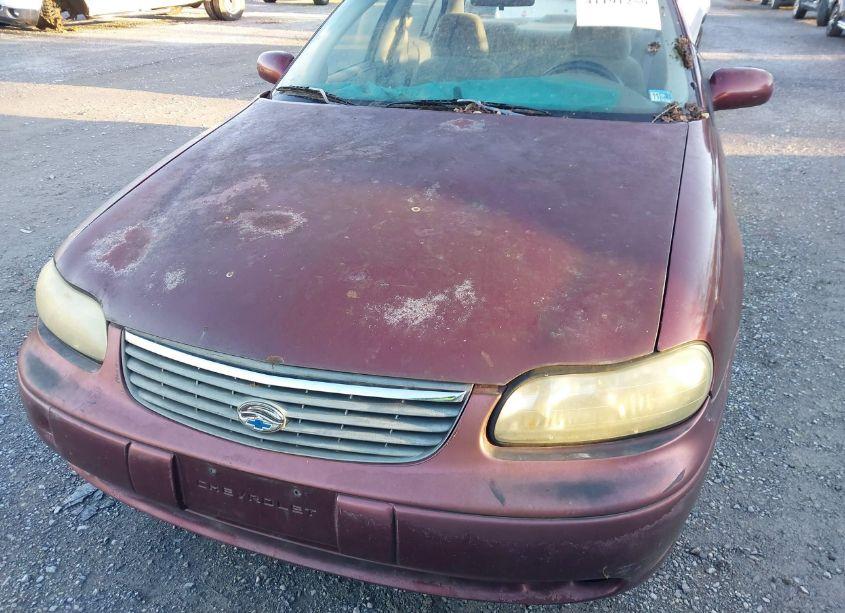 Photo 17 of 1998 Chevrolet Malibu (VIN 1G1ND52M9W6228407)