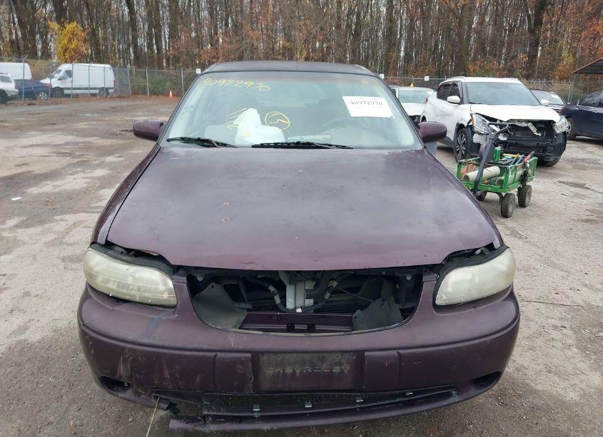 Photo 12 of 1999 Chevrolet Malibu N/A (VIN 1G1ND52T7XY168186)