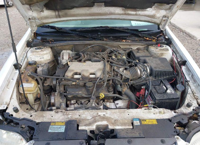 Photo 10 of 2000 Chevrolet Malibu LS (VIN 1G1NE52J2Y6125044)