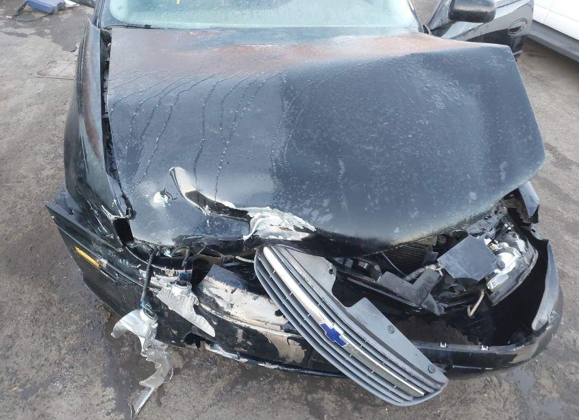 Photo 10 of 2000 Chevrolet Malibu LS (VIN 1G1NE52J4Y6338478)