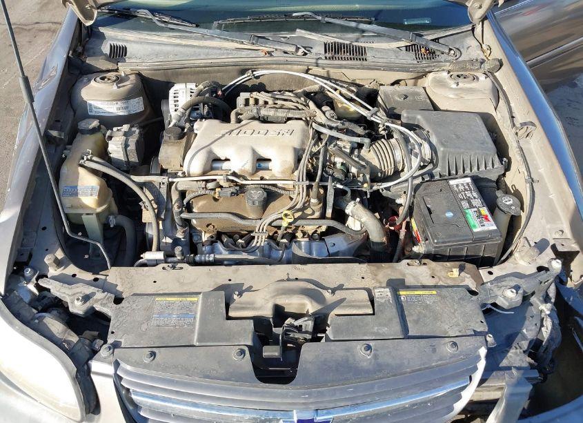 Photo 10 of 2002 Chevrolet Malibu LS (VIN 1G1NE52J52M724071)