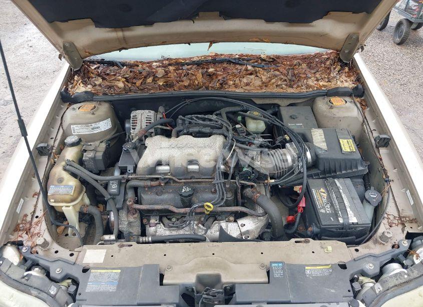Photo 10 of 2003 Chevrolet Malibu LS (VIN 1G1NE52J63M707491)