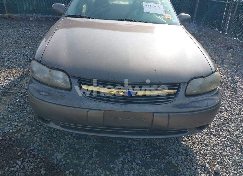 Photo 6 of 2001 Chevrolet Malibu LS (VIN 1G1NE52JX16176278)