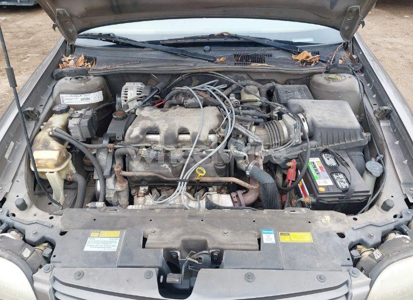 Photo 10 of 2000 Chevrolet Malibu LS (VIN 1G1NE52JXY6194810)