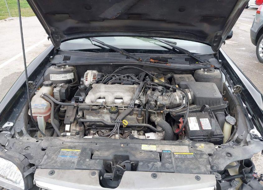 Photo 10 of 1999 Chevrolet Malibu LS (VIN 1G1NE52M1X6202060)