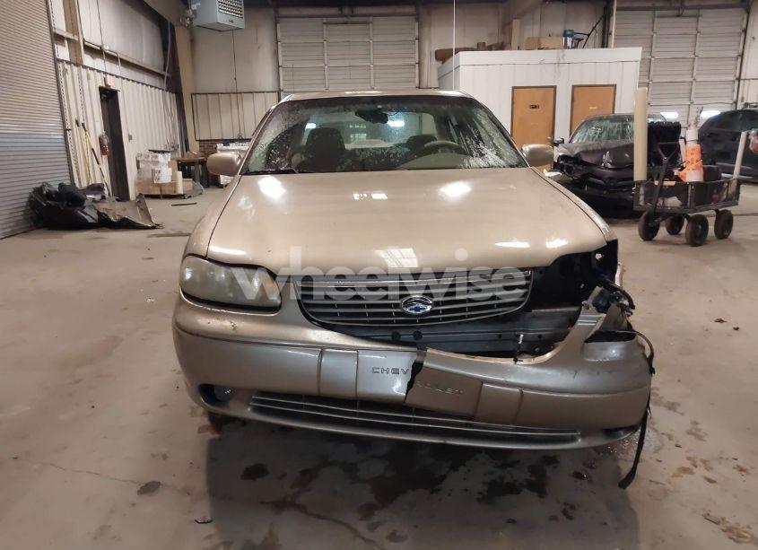 Photo 12 of 1999 Chevrolet Malibu LS (VIN 1G1NE52M4X6194441)