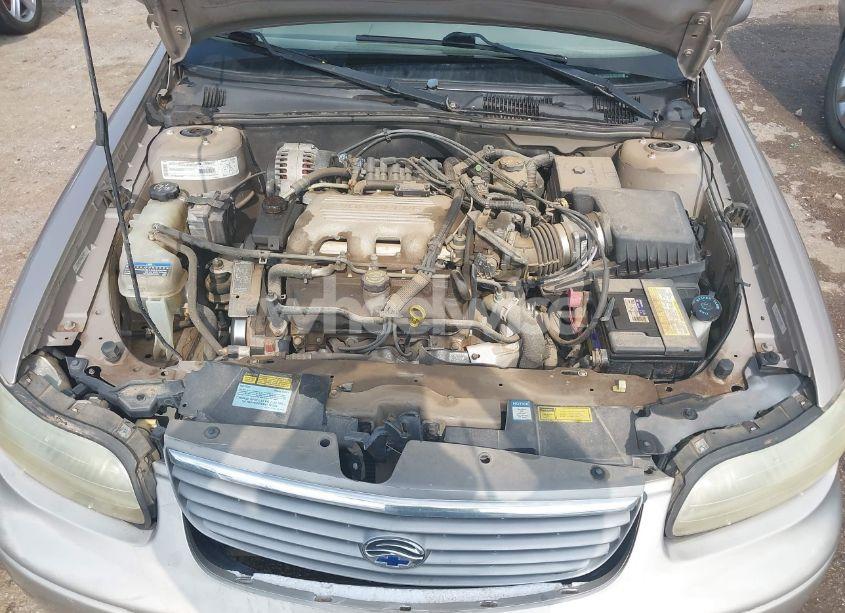 Photo 10 of 1999 Chevrolet Malibu LS (VIN 1G1NE52M9X6204851)