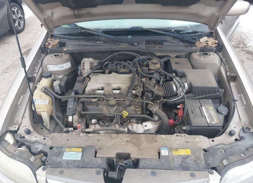 Photo 10 of 1999 Chevrolet Malibu LS (VIN 1G1NE52M9X6217776)