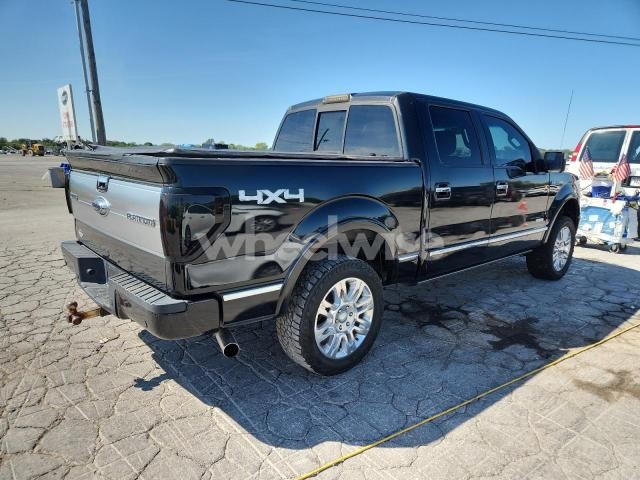 Photo 11 of 2013 FORD F150 SUPERCREW (VIN 1G1PF5S91B7156668)