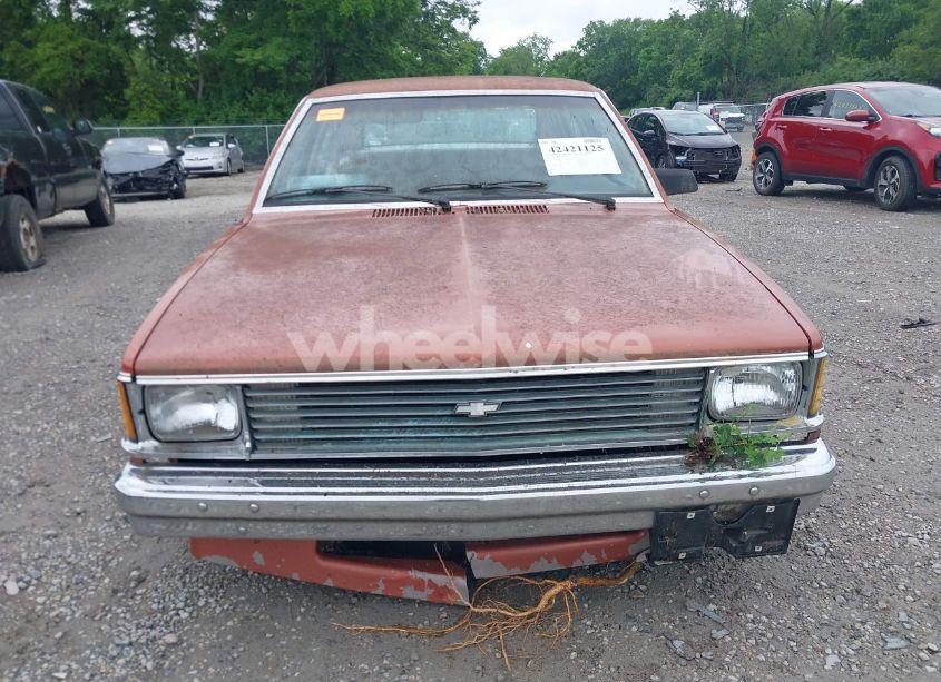 Photo 12 of 1985 Chevrolet Citation II (VIN 1G1XX68R1FW134918)