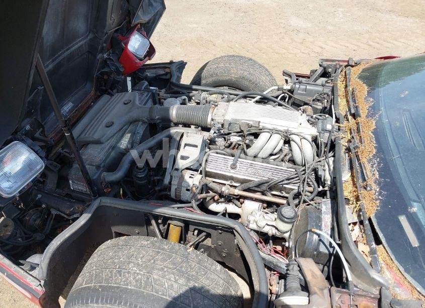 Photo 10 of 1986 Chevrolet Corvette (VIN 1G1YY0787G5101789)