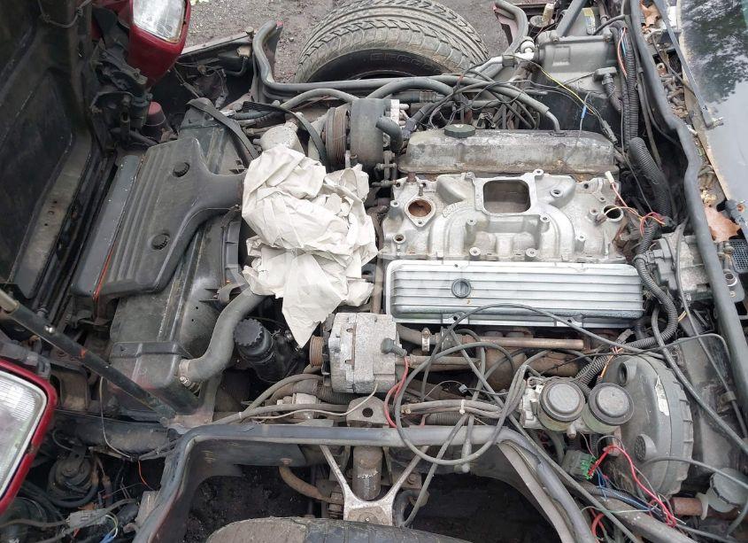 Photo 10 of 1985 Chevrolet Corvette (VIN 1G1YY078XF5129469)