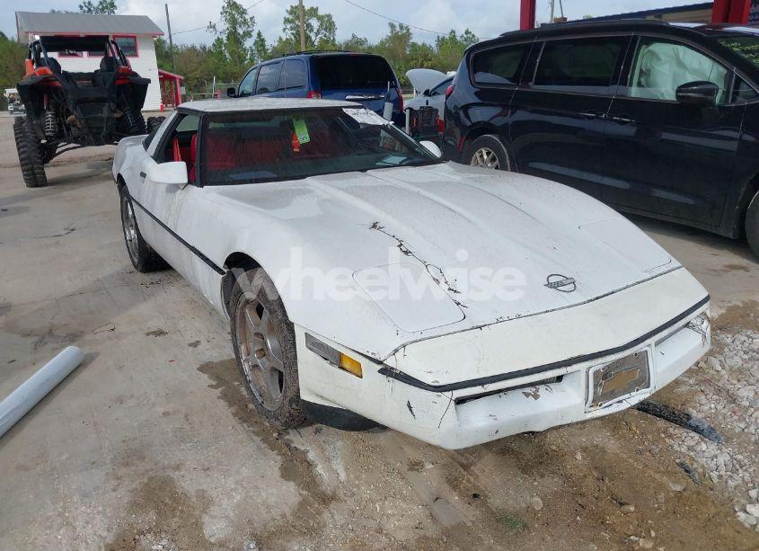 1989 Chevrolet Corvette (VIN 1G1YY2183K5124841) main photo