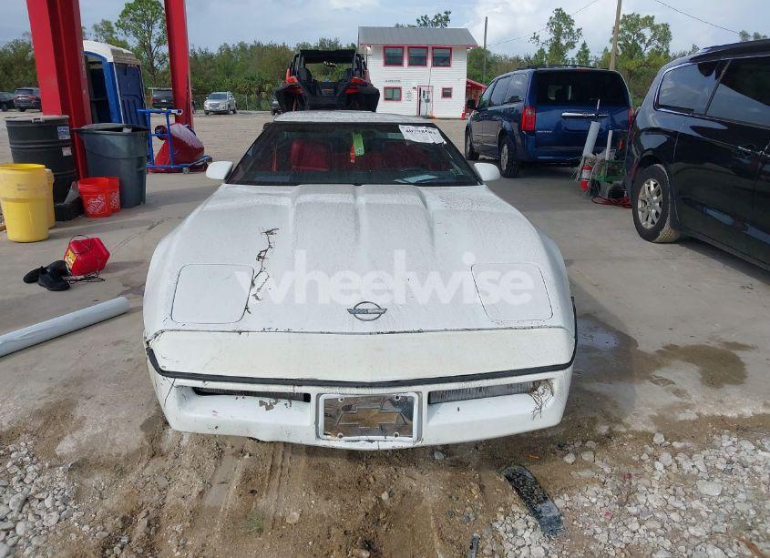 Photo 11 of 1989 Chevrolet Corvette (VIN 1G1YY2183K5124841)