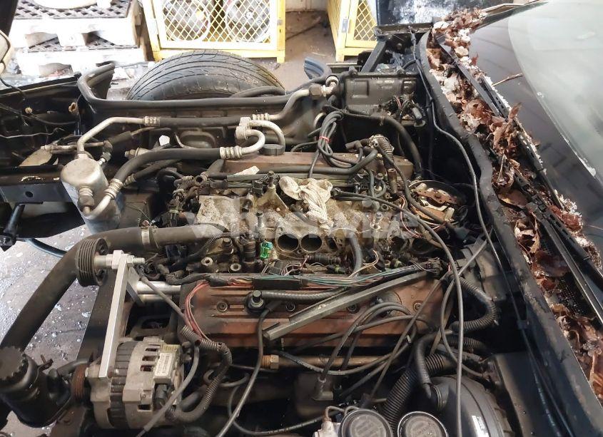 Photo 10 of 1988 Chevrolet Corvette (VIN 1G1YY2186J5103643)