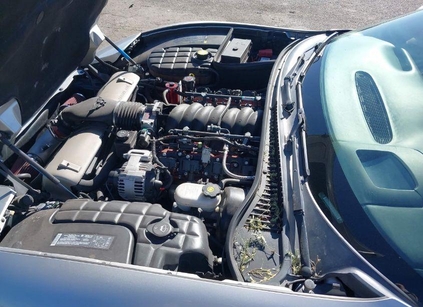 Photo 10 of 2004 Chevrolet Corvette N/A (VIN 1G1YY22G145132042)