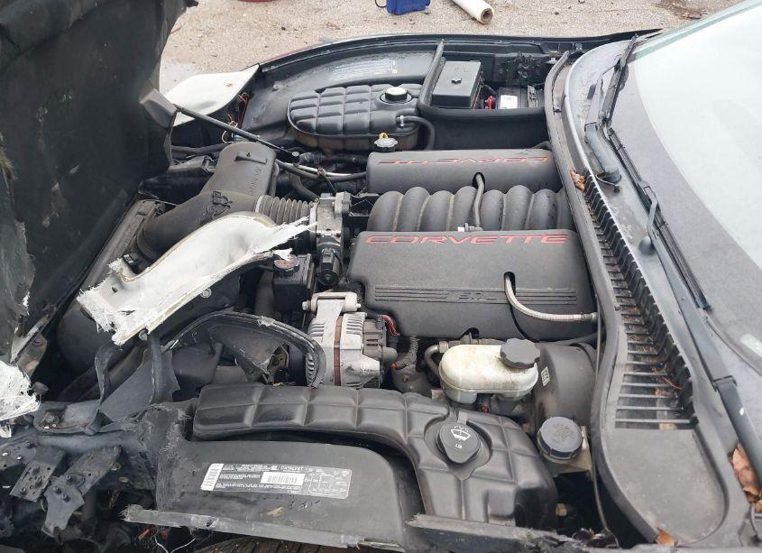 Photo 10 of 2002 Chevrolet Corvette (VIN 1G1YY22G325101095)