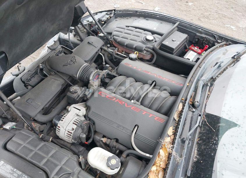 Photo 10 of 2004 Chevrolet Corvette N/A (VIN 1G1YY22G345100922)