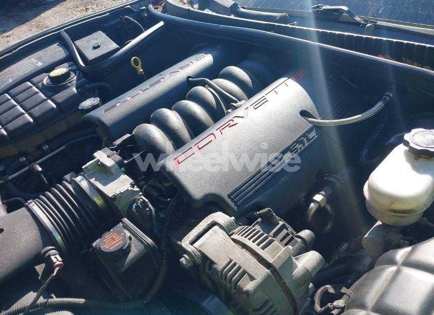 Photo 10 of 2000 Chevrolet Corvette (VIN 1G1YY22G3Y5125289)