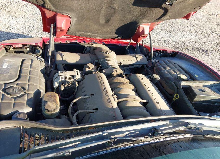 Photo 10 of 1998 Chevrolet Corvette (VIN 1G1YY22G6W5124473)