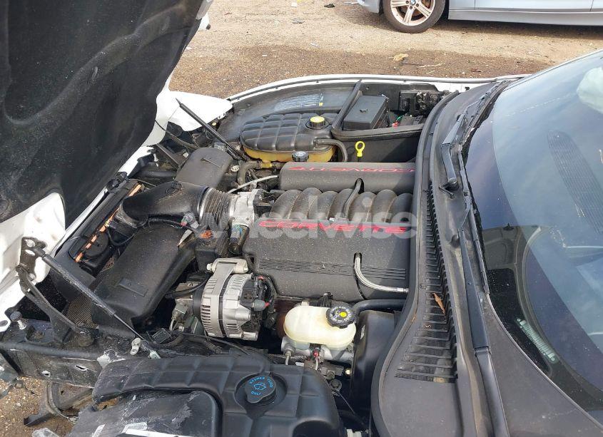 Photo 10 of 2000 Chevrolet Corvette (VIN 1G1YY22G7Y5105823)