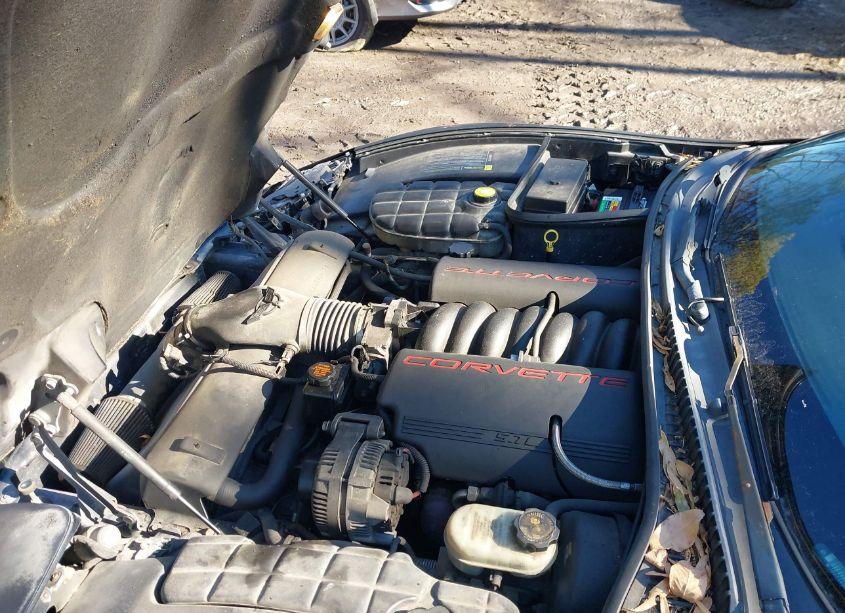 Photo 10 of 2000 Chevrolet Corvette (VIN 1G1YY22G7Y5109483)