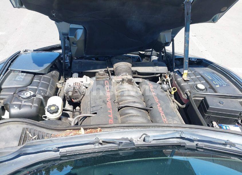 Photo 10 of 2004 Chevrolet Corvette N/A (VIN 1G1YY22G845122981)