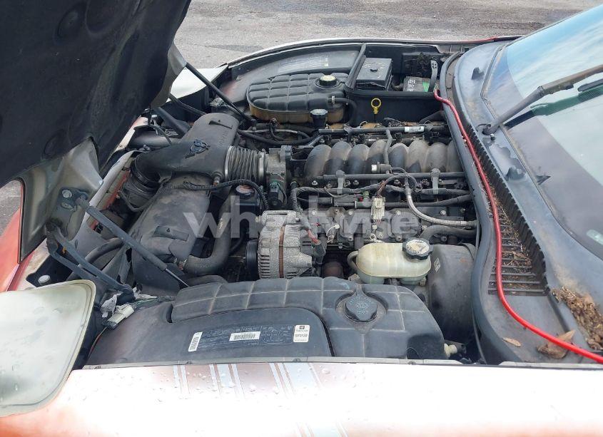 Photo 10 of 2000 Chevrolet Corvette (VIN 1G1YY22G9Y5121554)