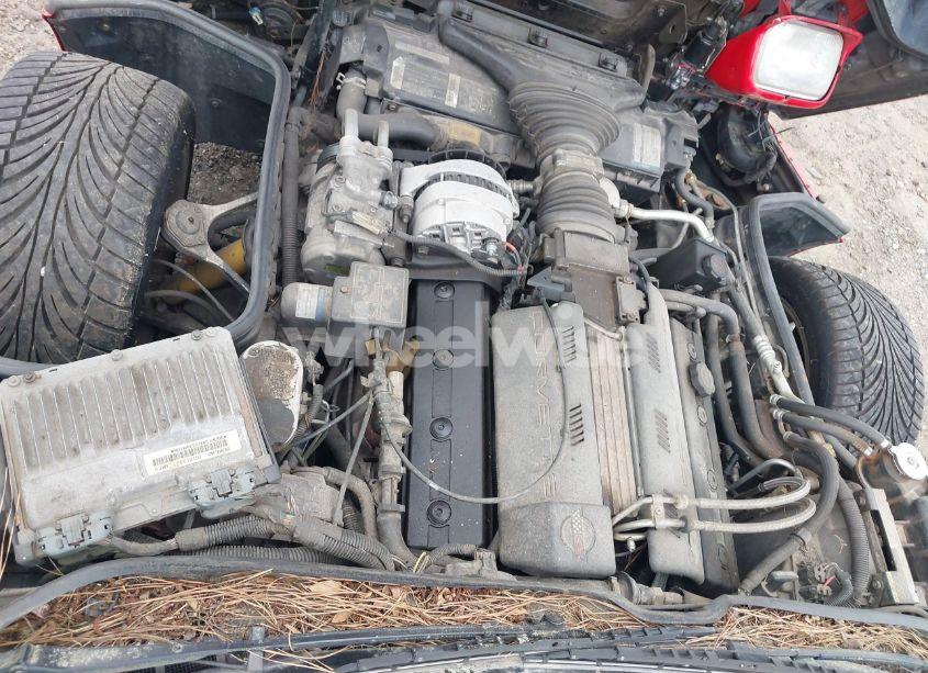 Photo 10 of 1994 Chevrolet Corvette (VIN 1G1YY22P0R5119743)