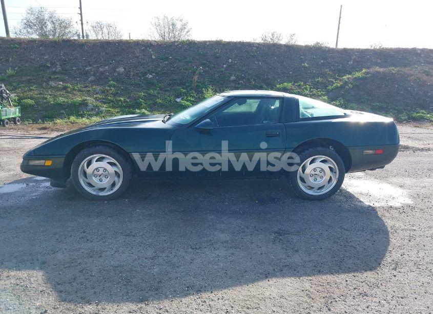 Photo 15 of 1995 Chevrolet Corvette (VIN 1G1YY22P0S5120106)