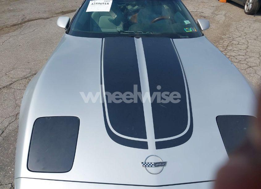 Photo 10 of 1996 Chevrolet Corvette N/A (VIN 1G1YY22P3T5102765)