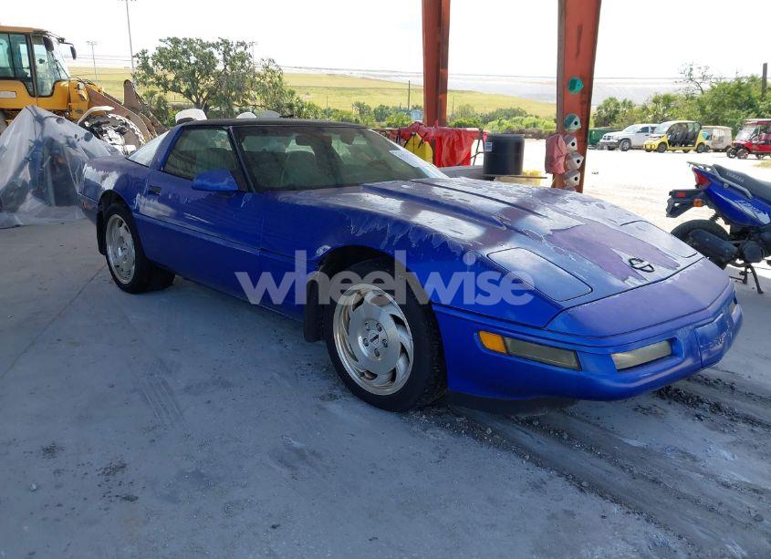 1995 Chevrolet Corvette (VIN 1G1YY22P5S5103317) main photo