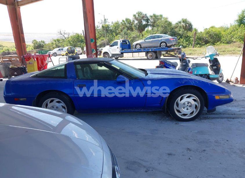 Photo 13 of 1995 Chevrolet Corvette (VIN 1G1YY22P5S5103317)