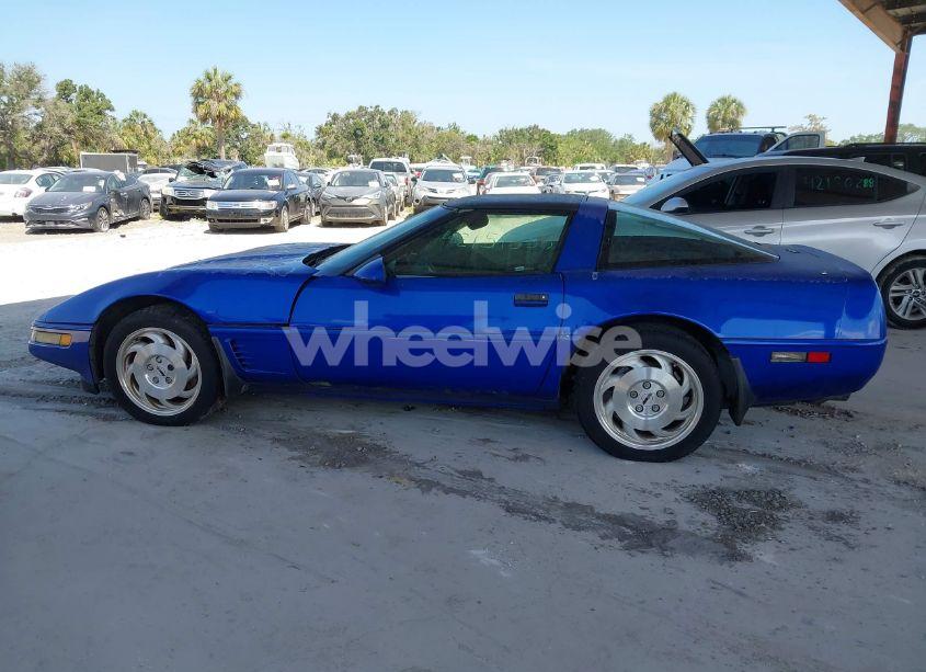 Photo 14 of 1995 Chevrolet Corvette (VIN 1G1YY22P5S5103317)