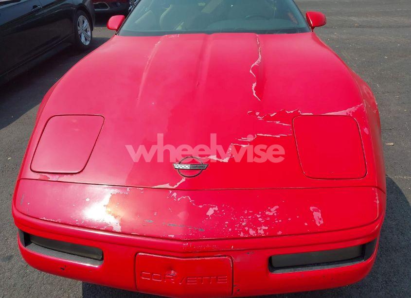 Photo 10 of 1994 Chevrolet Corvette (VIN 1G1YY22P6R5111291)