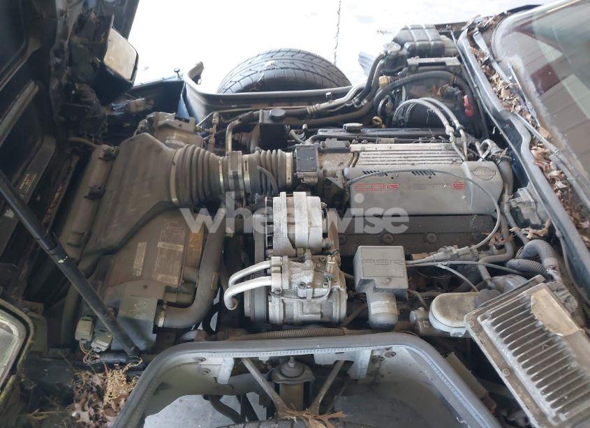 Photo 10 of 1995 Chevrolet Corvette (VIN 1G1YY22P7S5115730)